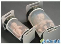 美国CIRS 065系列婴儿体模